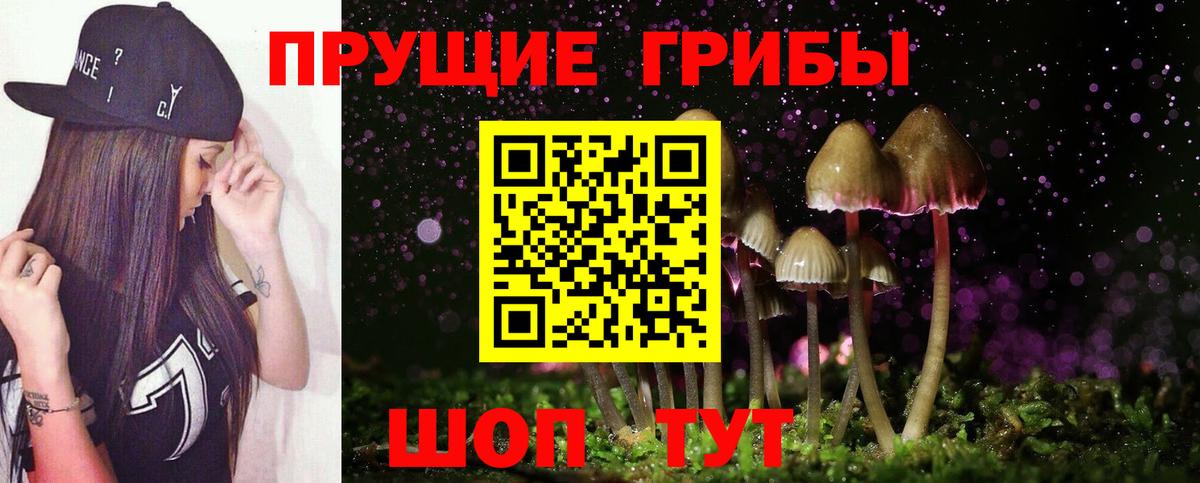 Псилоцибиновые грибы Cubensis  Галлюциногенные грибы мицелий  Томск  Вход с VPN 